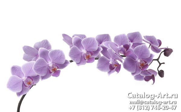 Натяжные потолки с фотопечатью - Розовые орхидеи 101